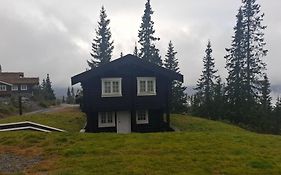 Garden Guest House